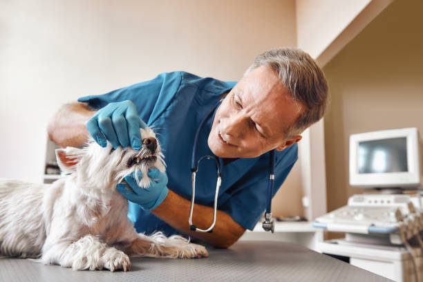 Best Emergency Treatment for Toothache in Poinciana, FL